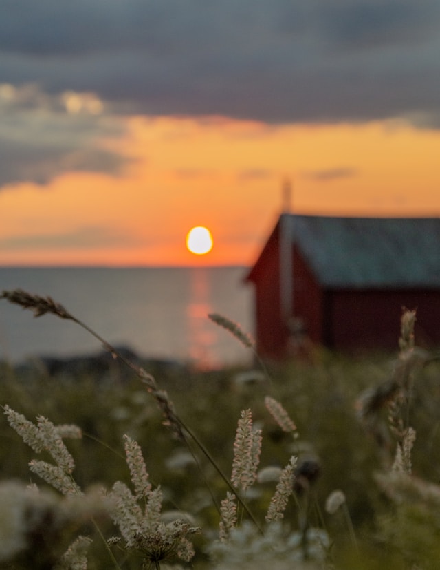 7 ideas for your summer holiday